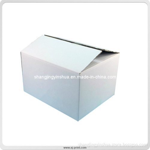 Customized Storage Corrugated Packaging Carton Box (PB026)